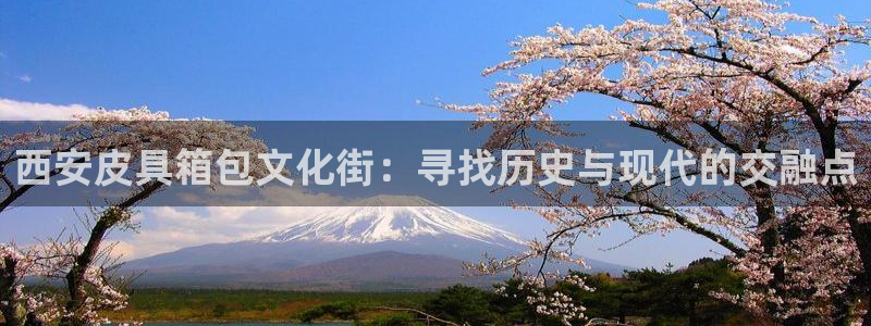 卧龙娱乐注册登陆