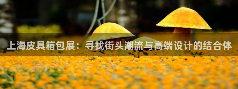 卧龙凤雏娱乐图