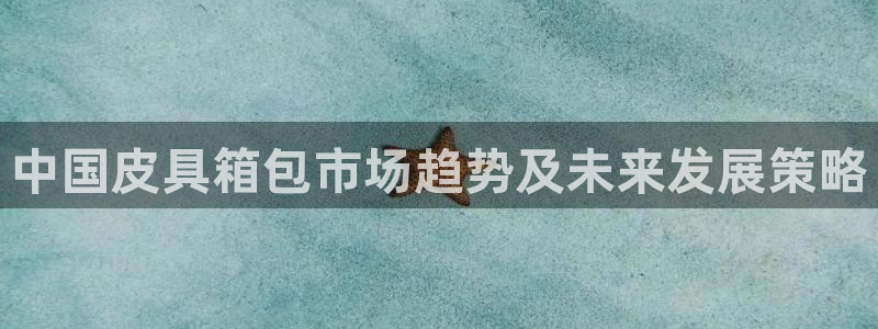 卧龙娱乐在线直播网