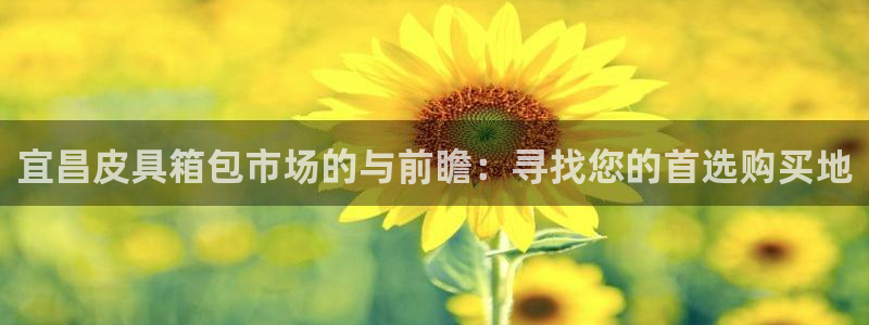 卧龙区夜晚娱乐