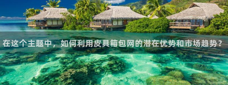 卧龙区休闲娱乐