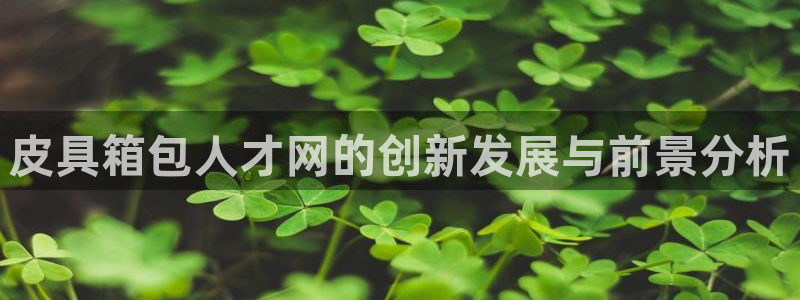 卧龙娱乐主管