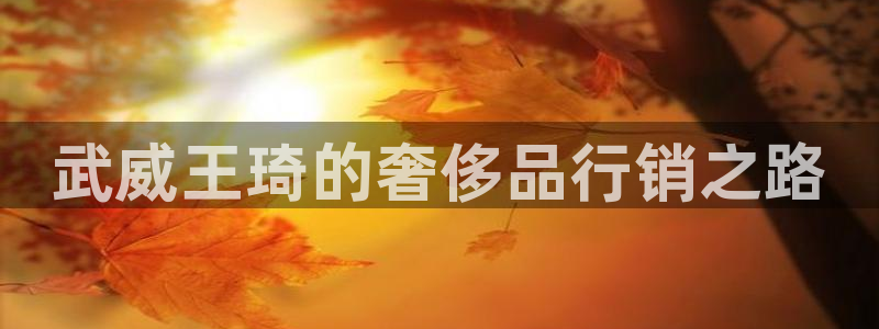 卧龙娱乐若七九九