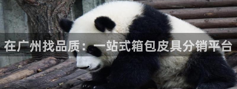 卧龙传统娱乐团购
