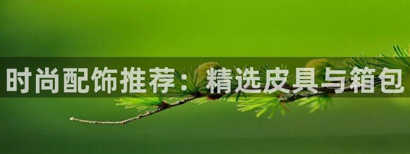 卧龙娱乐招商主管薪资