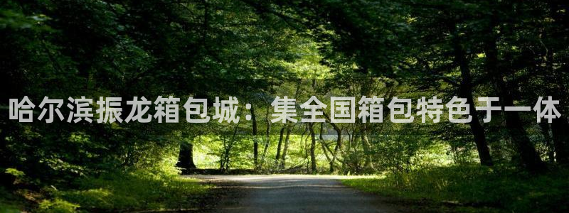 卧龙儿童娱乐设施