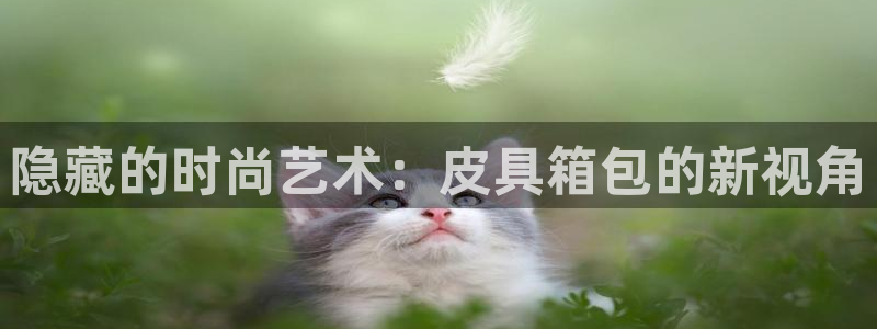 卧龙娱乐计划