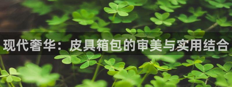 南阳卧龙区娱乐