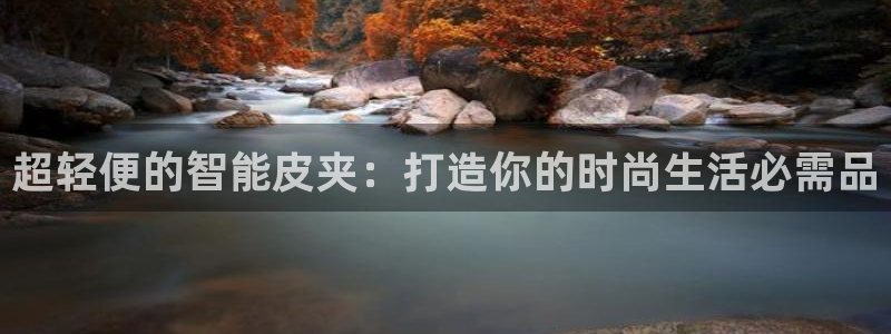 卧龙娱乐过山车