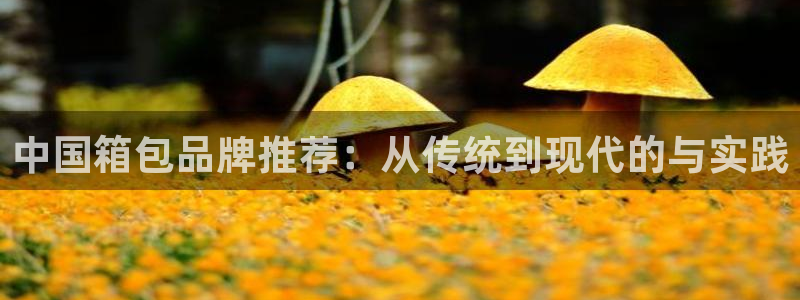 肥羊娱乐卧龙凤雏