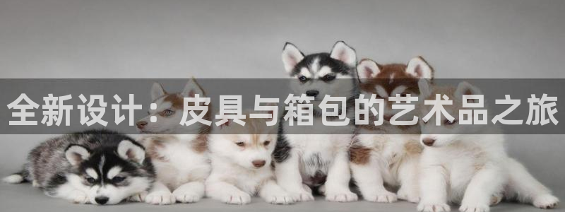 卧龙休闲娱乐热门推荐