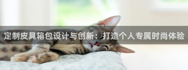 卧龙凤雏娱乐直播