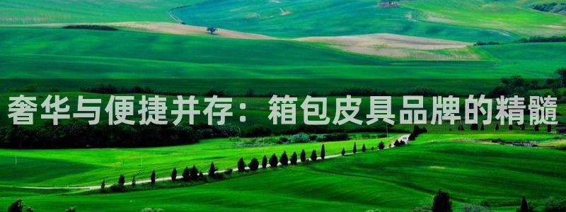 娱乐卧龙凤雏