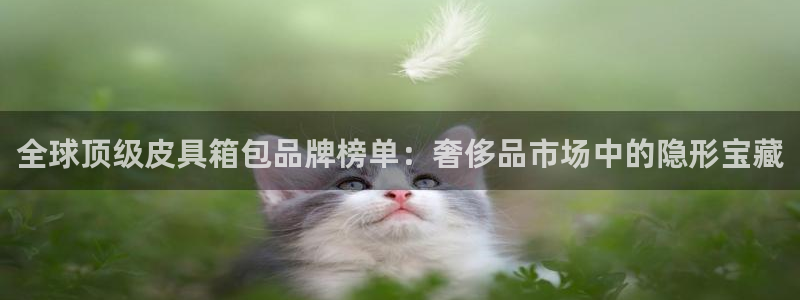 卧龙娱乐能出款吗