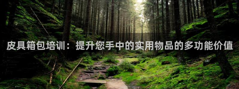 卧龙娱乐能出款吗