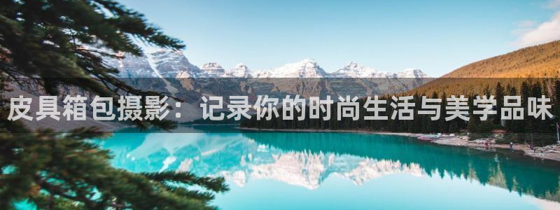 卧龙娱乐平台下载