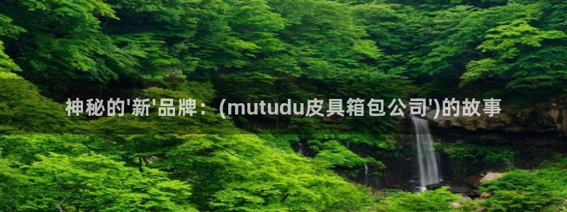 卧龙娱乐是真假吗