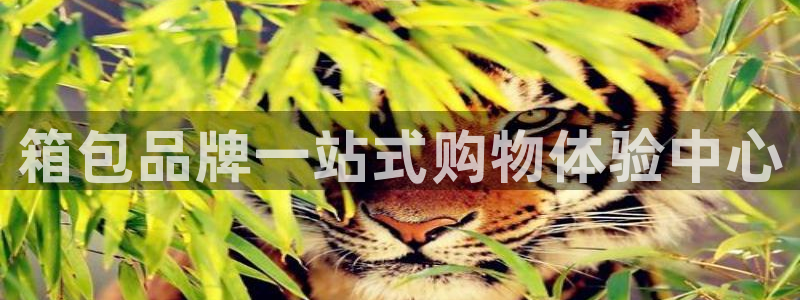 卧龙湾娱乐区