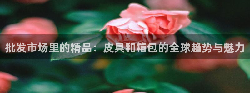 超越娱乐b卧龙313322