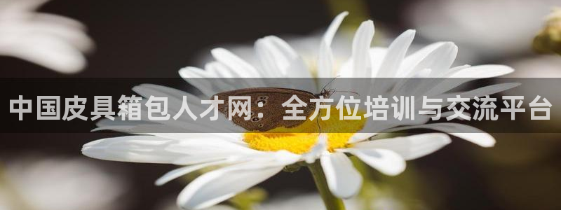 卧龙娱乐挂机平台官网