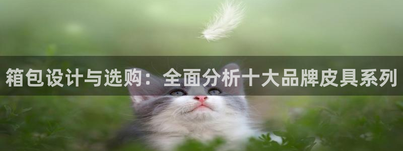 卧龙吟娱乐将