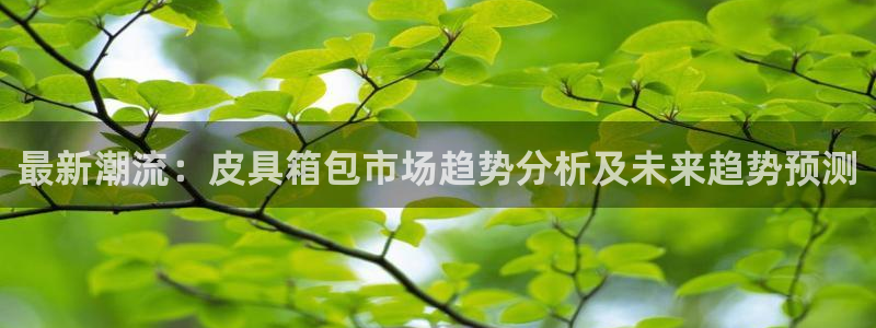wow卧龙娱乐集团