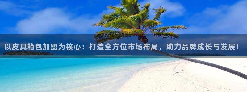 卧龙娱乐挂机软件下载