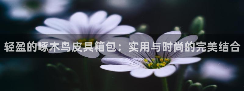 卧龙娱乐老板是谁呀图片