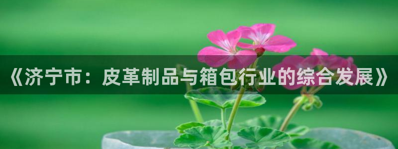 卧龙娱乐注册地址