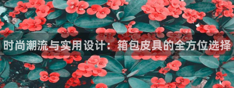 卧龙娱乐下