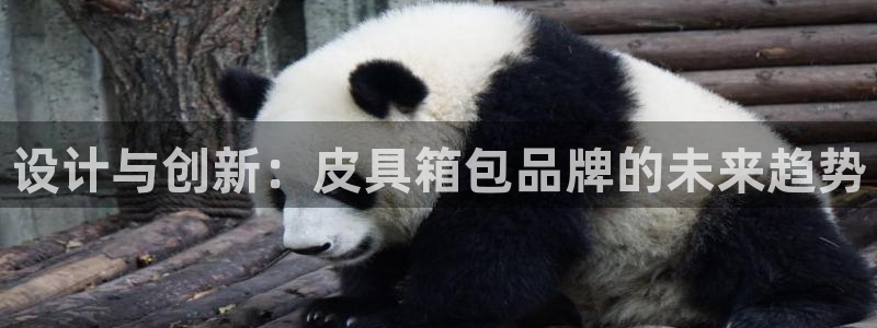 卧龙凤雏娱乐解说