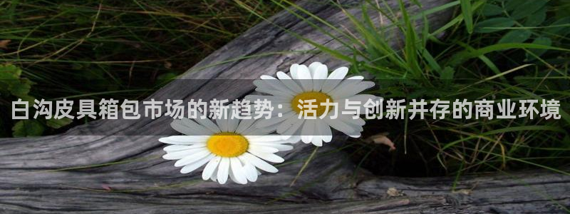 卧龙2娱乐