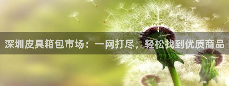 卧龙娱乐找382223