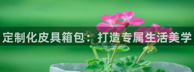 柏林娱乐 044 卧龙