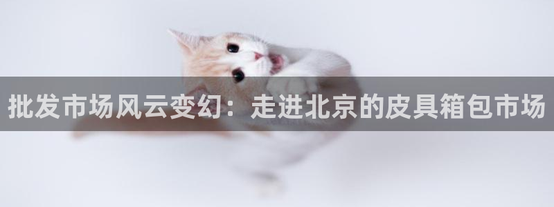 娱乐卧龙凤雏