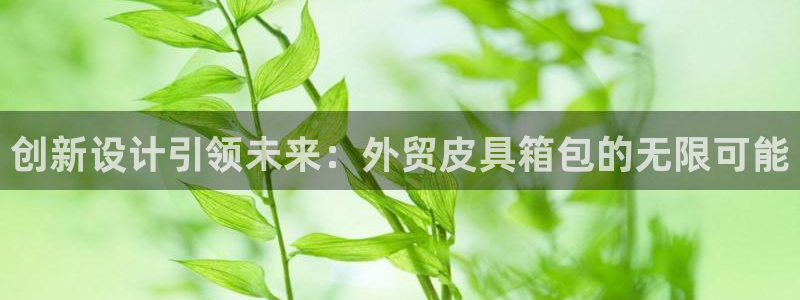 卧龙凤雏娱乐运城
