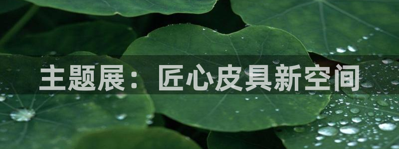 卧龙娱乐过山车