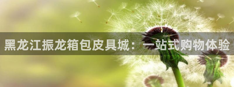 卧龙娱乐主管是谁呀