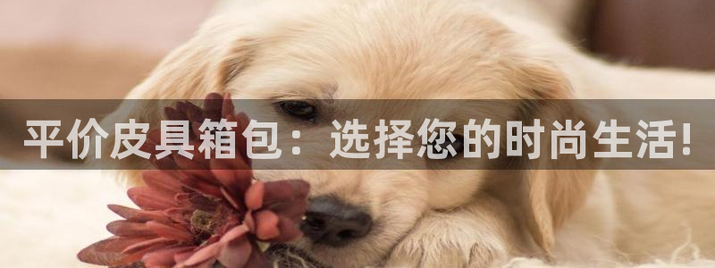 卧龙娱乐3月10日开