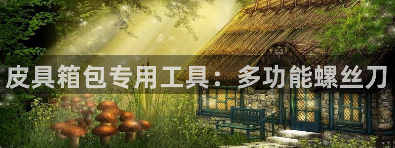 悉尼卧龙岗娱乐