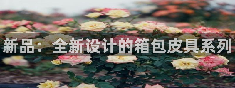 卧龙沙滩蹦床娱乐