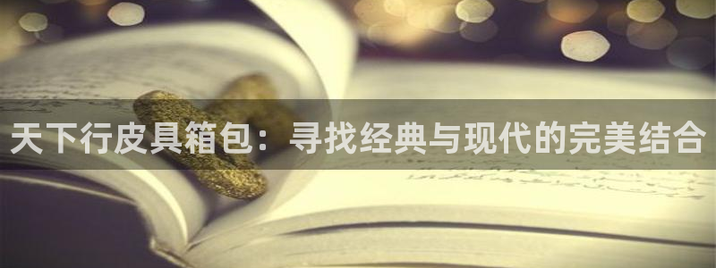 超越娱乐b卧龙313322