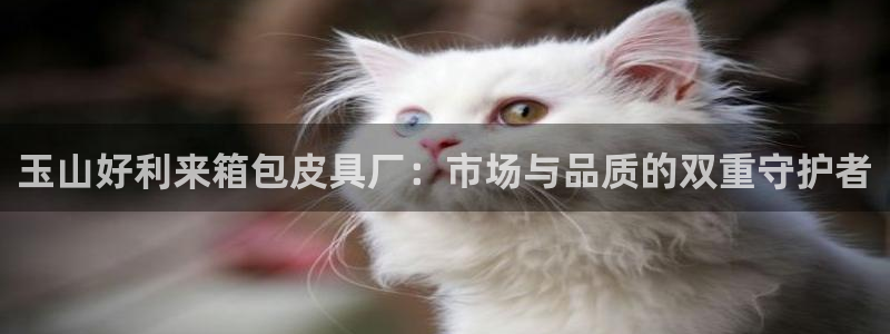 SKY娱乐卧龙招商60447