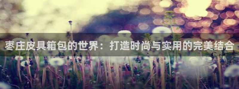 卧龙娱乐过山车