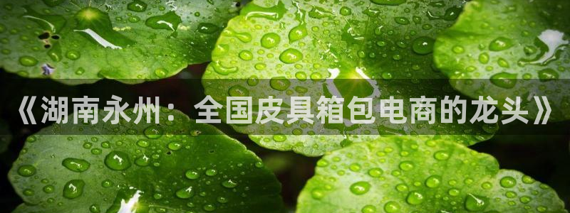 柏林娱乐 044 卧龙