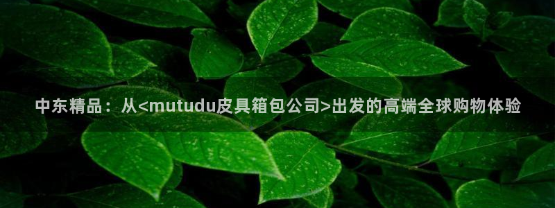 卧龙娱乐在线直播观看