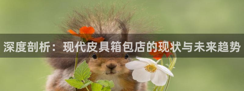 wow卧龙娱乐