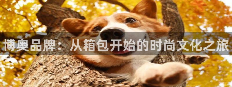 卧龙娱乐挂机平台有哪些