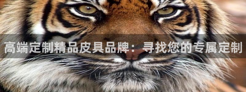 卧龙山娱乐