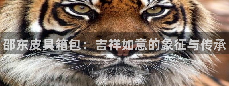 卧龙凤锄娱乐演员